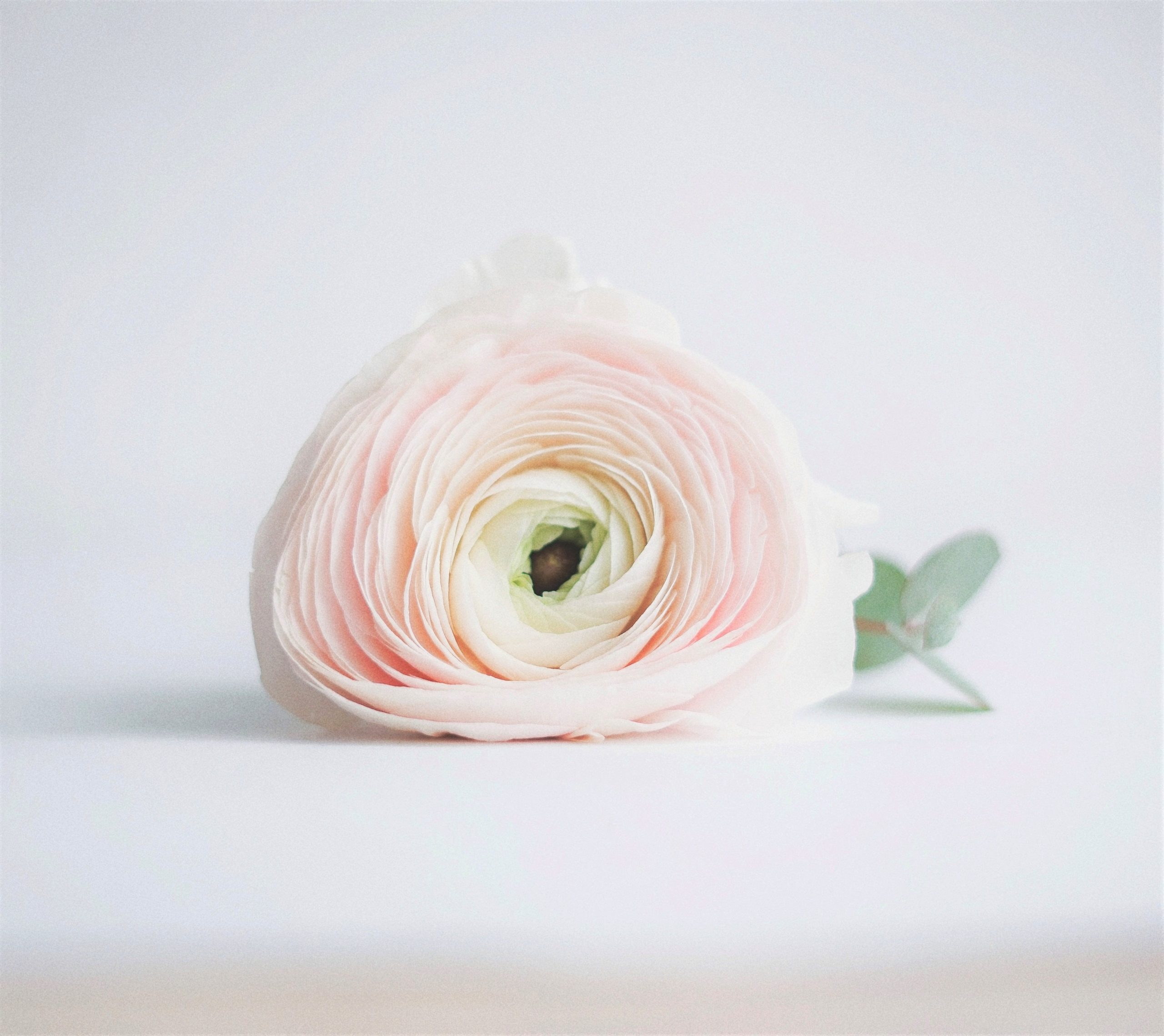 page-header